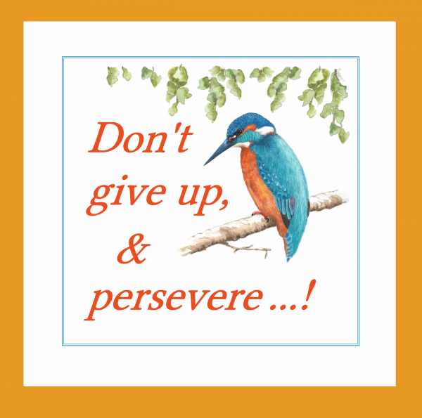 don t give up & persevere